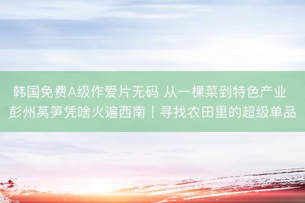 韩国免费A级作爱片无码 从一棵菜到特色产业 彭州莴笋凭啥火遍西南｜寻找农田里的超级单品