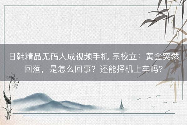 日韩精品无码人成视频手机 宗校立：黄金突然回落，是怎么回事？还能择机上车吗？