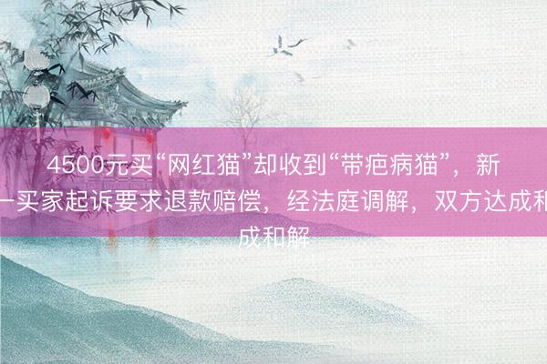 4500元买“网红猫”却收到“带疤病猫”，新疆一买家起诉要求退款赔偿，经法庭调解，双方达成和解