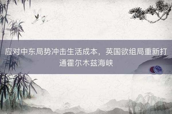 应对中东局势冲击生活成本，英国欲组局重新打通霍尔木兹海峡