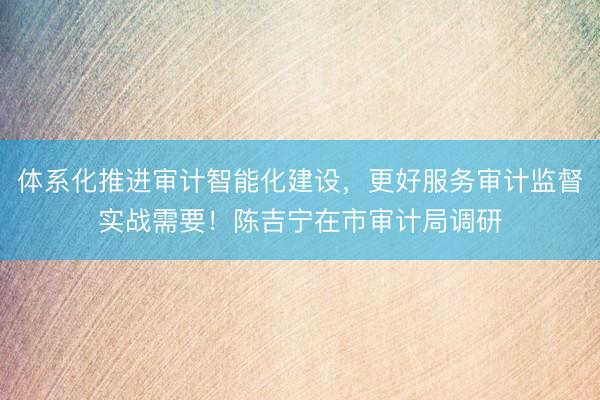 体系化推进审计智能化建设，更好服务审计监督实战需要！陈吉宁在市审计局调研