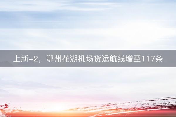 上新+2，鄂州花湖机场货运航线增至117条
