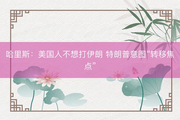 哈里斯:美国人不想打伊朗 特朗普意图“转移焦点”