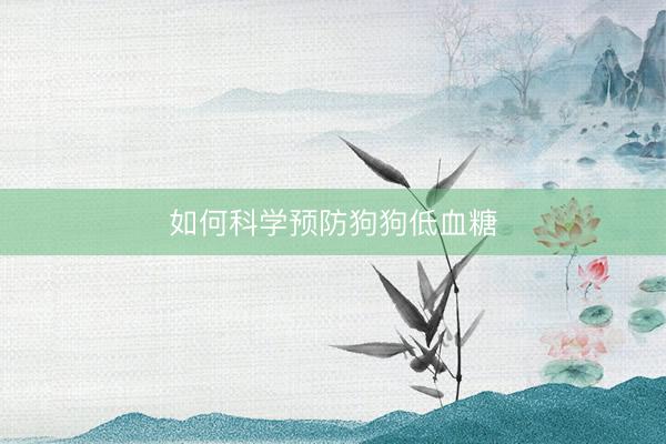 如何科学预防狗狗低血糖