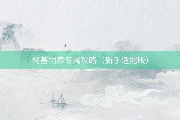 柯基饲养专属攻略（新手适配版）