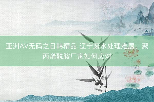 亚洲AV无码之日韩精品 辽宁废水处理难题，聚丙烯酰胺厂家如何应对