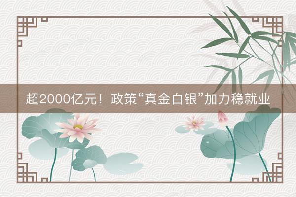超2000亿元！政策“真金白银”加力稳就业