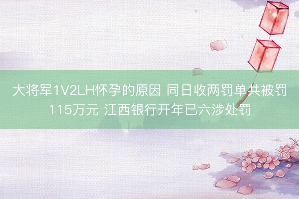 大将军1V2LH怀孕的原因 同日收两罚单共被罚115万元 江西银行开年已六涉处罚