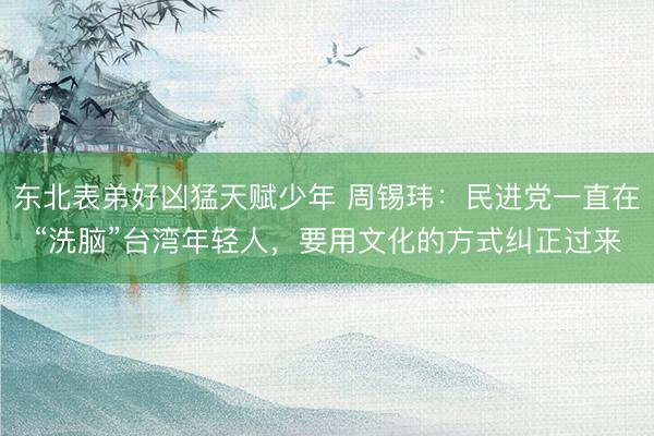 东北表弟好凶猛天赋少年 周锡玮：民进党一直在“洗脑”台湾年轻人，<a href=
