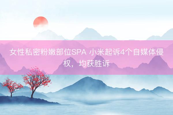 女性私密粉嫩部位SPA 小米起诉4个自媒体侵权，均获胜诉