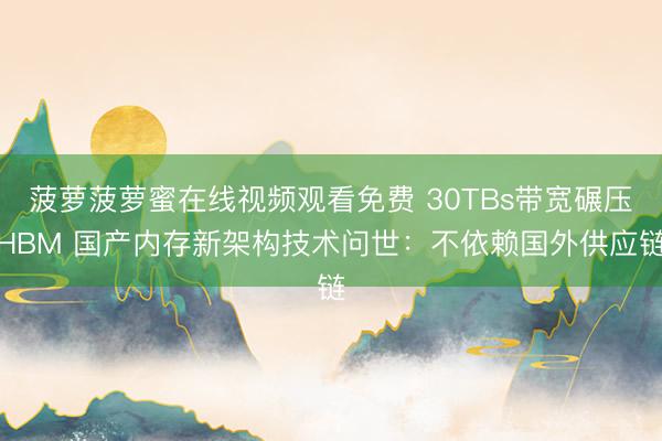 菠萝菠萝蜜在线视频观看免费 30TBs带宽碾压HBM 国产内存新架构技术问世：不依赖国外供应链
