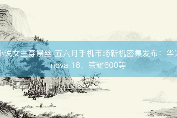 小说女主穿黑丝 五六月手机市场新机密集发布：华为nova 16、荣耀600等