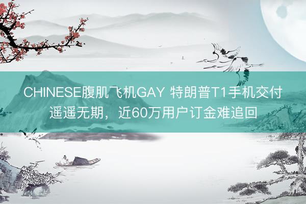 CHINESE腹肌飞机GAY 特朗普T1手机交付遥遥无期，近60万用户订金难追回