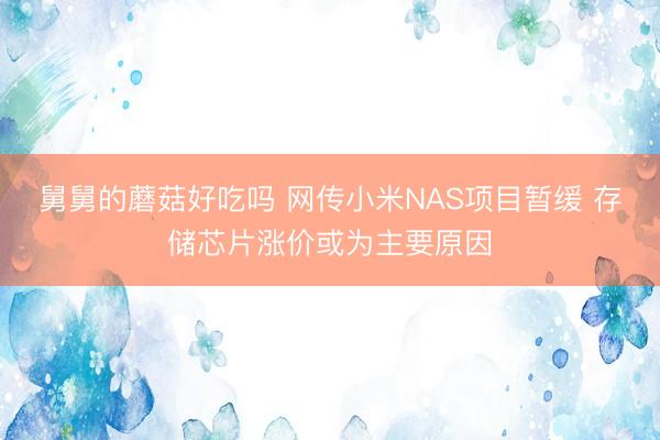 舅舅的蘑菇好吃吗 网传小米NAS项目暂缓 存储芯片涨价或为主要原因
