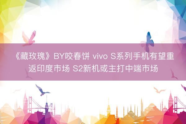 《藏玫瑰》BY咬春饼 vivo S系列手机有望重返印度市场 S2新机或主打中端市场