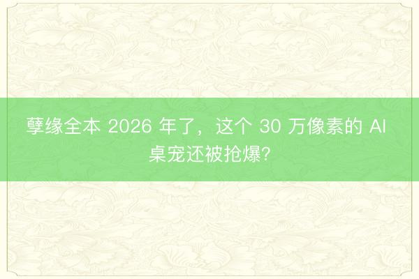 孽缘全本 2026 年了，这个 30 万像素的 AI 桌宠还被抢爆？