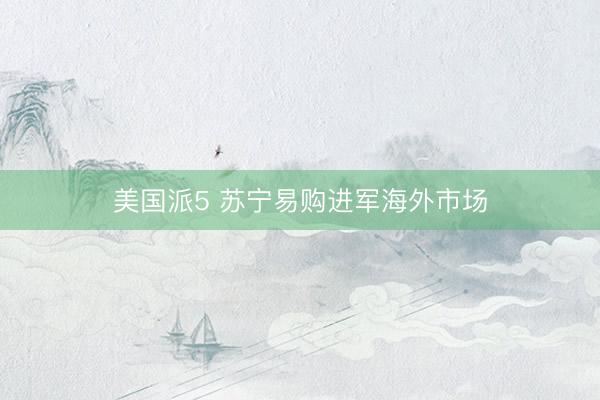 美国派5 苏宁易购进军海外市场