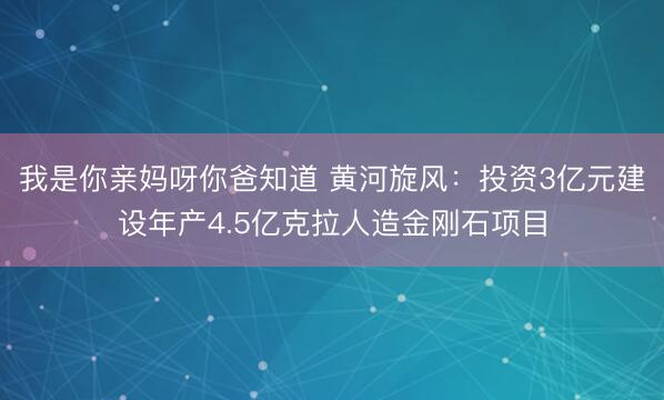 我是你亲妈呀你爸知道 黄河旋风:投资3亿元建设年产4.5亿克拉人造金刚石项目