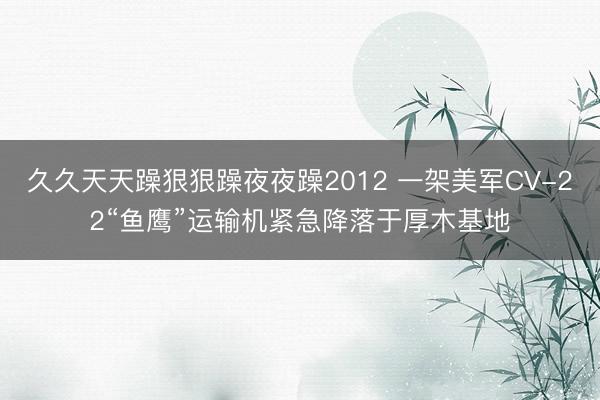 久久天天躁狠狠躁夜夜躁2012 一架美军CV-22“鱼鹰”运输机紧急降落于厚木基地