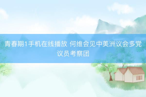 青春期1手机在线播放 何维会见中美洲议会多党议员考察团