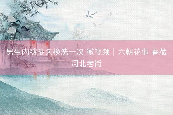男生内裤多久换洗一次 微视频｜六朝花事 春藏河北老街
