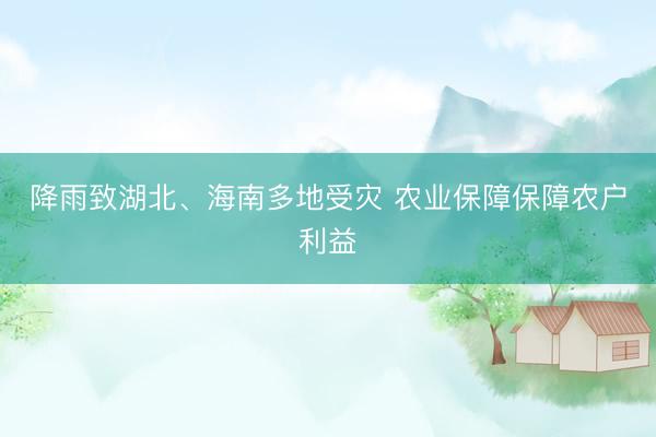 降雨致湖北、海南多地受灾 农业保障保障农户利益