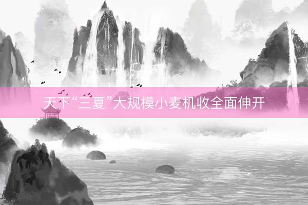 天下“三夏”大规模小麦机收全面伸开