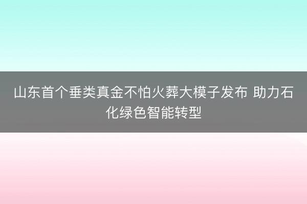 山东首个垂类真金不怕火葬大模子发布 助力石化绿色智能转型