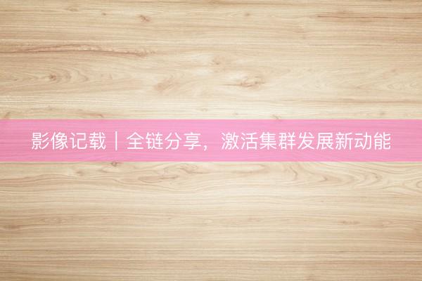 影像记载｜全链分享，激活集群发展新动能