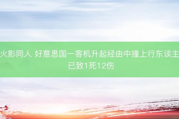 火影同人 好意思国一客机升起经由中撞上行东谈主 已致1死12伤