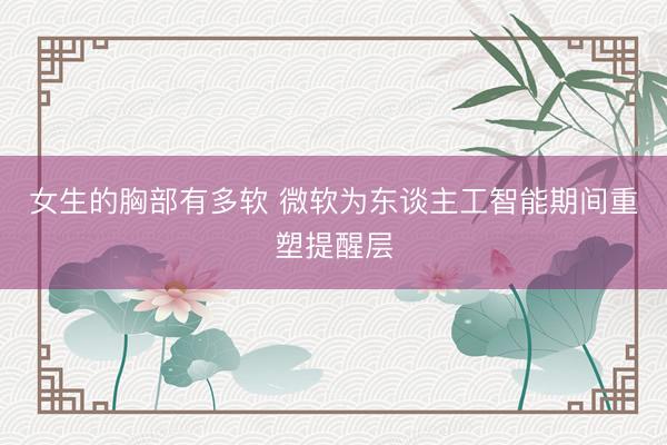 女生的胸部有多软 微软为东谈主工智能期间重塑提醒层