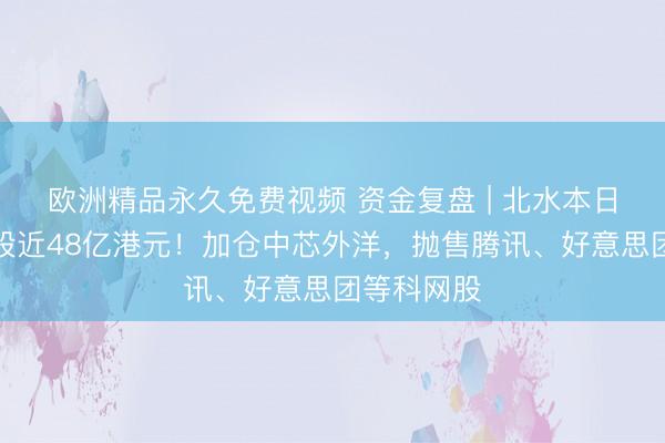 欧洲精品永久免费视频 资金复盘 | 北水本日净卖出港股近48亿港元!加仓中芯外洋,抛售腾讯、好意思团等科网股