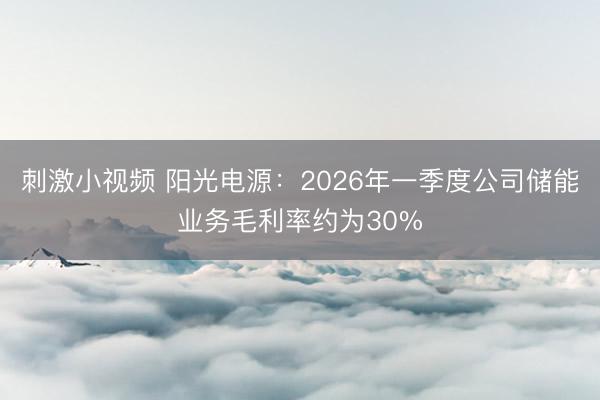 刺激小视频 阳光电源：2026年一季度公司储能业务毛利率约为30%