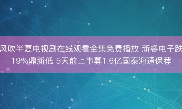 风吹半夏电视剧在线观看全集免费播放 新睿电子跌19%鼎新低 5天前上市募1.6亿国泰海通保荐
