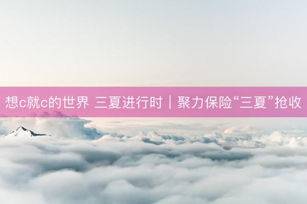 想c就c的世界 三夏进行时｜聚力保险“三夏”抢收