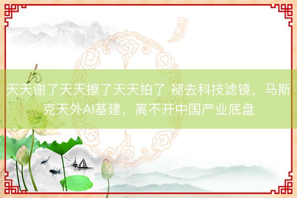 天天谢了天天擦了天天拍了 褪去科技滤镜，马斯克天外AI基建，离不开中国产业底盘