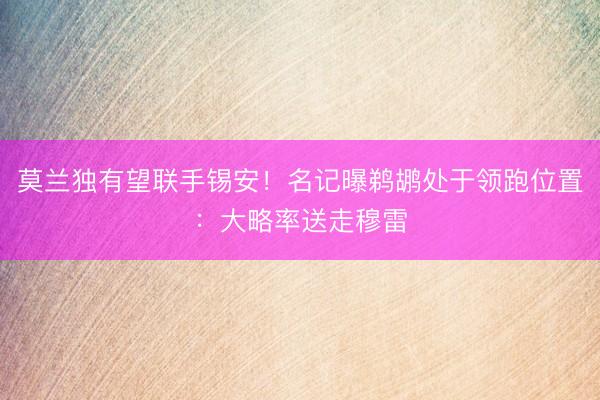 莫兰独有望联手锡安！名记曝鹈鹕处于领跑位置：大略率送走穆雷
